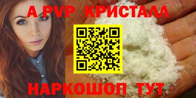 молекула духа Заводоуковск